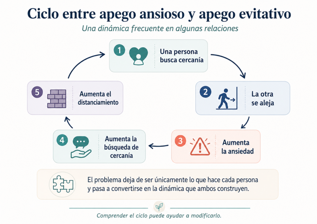 Apego ansioso y apego evitativo